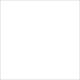 Colors 0000 RAL9016, Overview