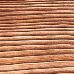 0004 Spruce burned and brushed, Overview